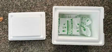 Photo of free 5 ice packs and styrofoam cooler (Valencia Avenue, Sunnyvale) #1