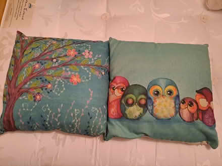 Photo of free 2 cushions as new (Henleaze BS9) #1