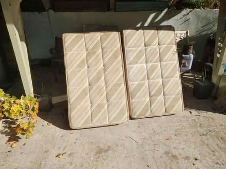 Photo of free Foam caravan cushions (South Molton EX36) #1