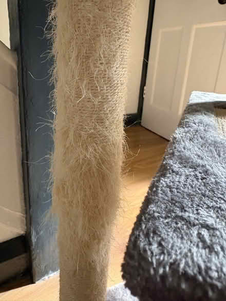 Photo of free Cat play tree (Morrell Avenue OX4) #3