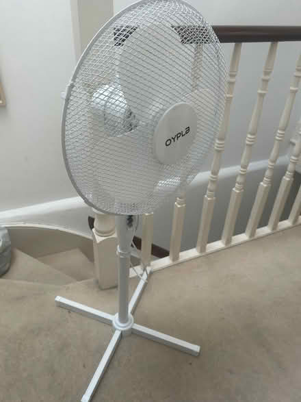 Photo of free Pedestal fan (West Kensington W14) #1