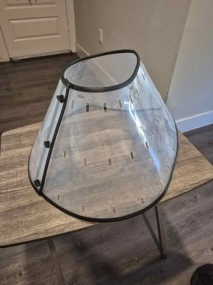 Photo of free Large dog cone (76102) #1
