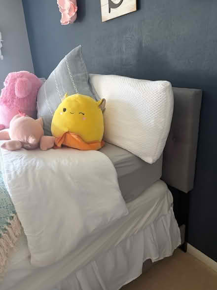 Photo of free 1 double bed frame (Eldridge North) #2