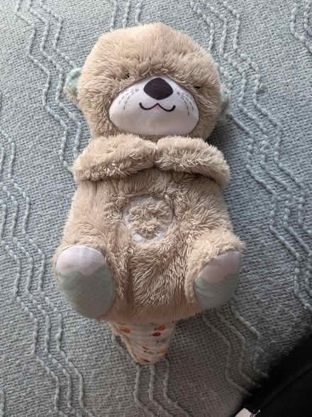 Photo of free Fisherprice otter (W5) #1