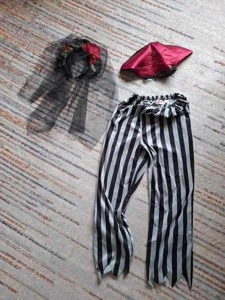 Photo of free Kids costume bits (Rathfarnham) #1