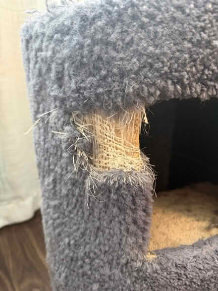 Photo of free Well-loved Cat Scratching Tower (Silver Spring Metro Station) #3
