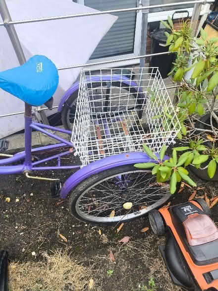 Photo of free Adult trike (Twerton BA2) #1