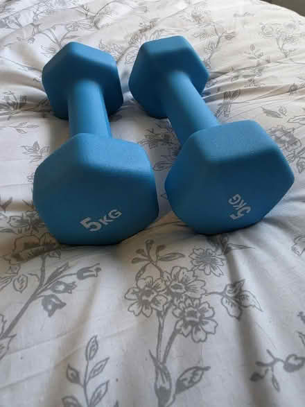 Photo of free 5kg weights (Malvern Link WR14) #1