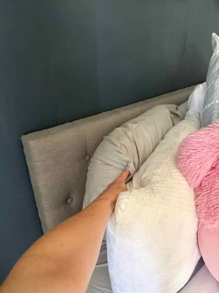 Photo of free 1 double bed frame (Eldridge North) #3