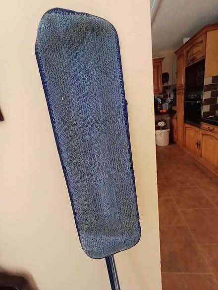 Photo of free Floor Mop (Charlton OX12) #3