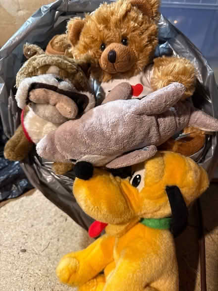 Photo of free Children’s cuddly toys (Sale) #1