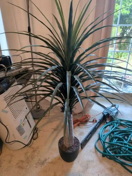 Photo of free Faux tropical tree ~1m / 3ft tall (Maidstone ME15) #1