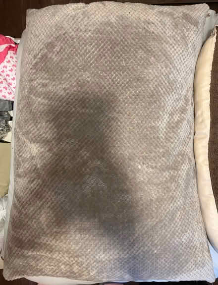 Photo of free Large/XL dog bed (Church Langley CM17) #1