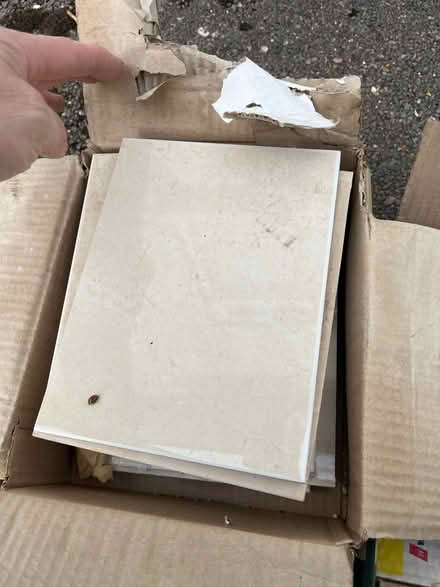 Photo of free Wall tiles (Letchworth SG6) #2