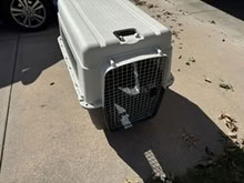 Photo of free Dog Kennel (near 156th and Maple) #1