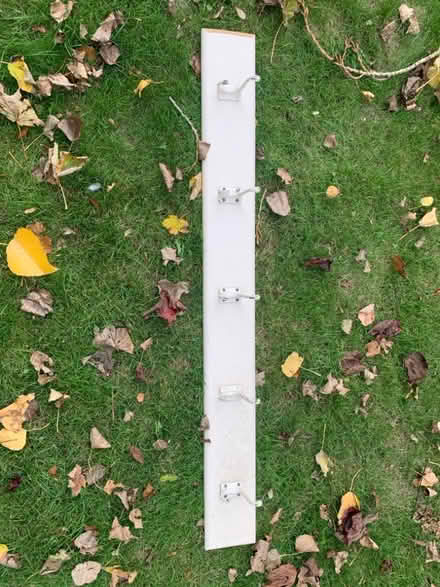 Photo of free 5 hooks on back board (Lansdown BA1) #1