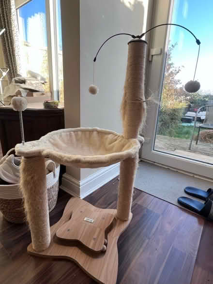 Photo of free Cat scratcher (Hawley) #2