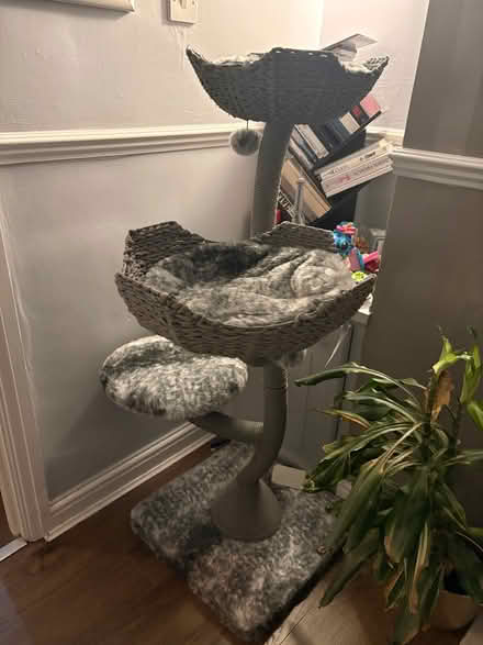 Photo of free Cat tree (Moss Side L31) #1