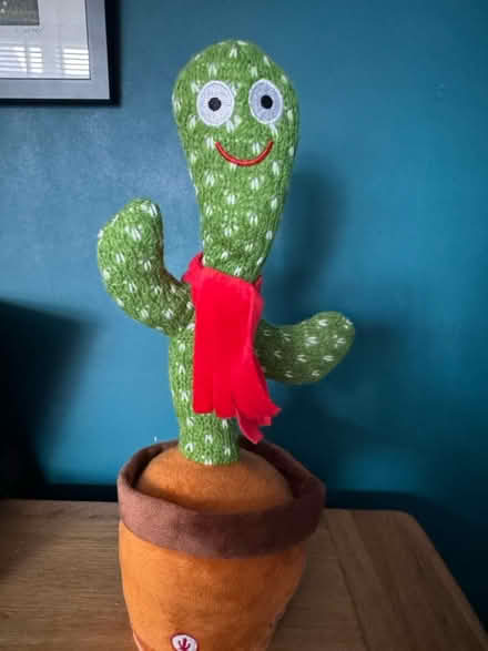 Photo of free Talking Cactus (Hale Village L24) #1