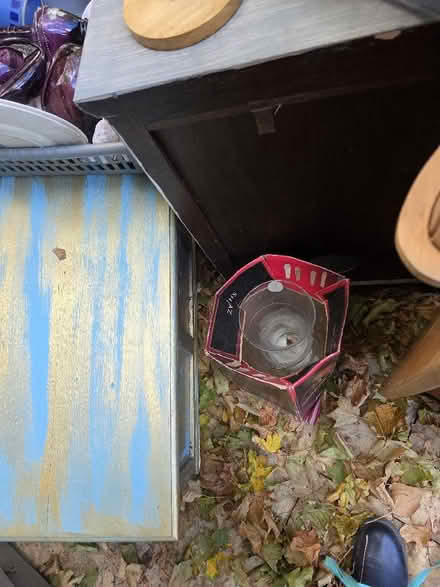 Photo of free Painted blanket box ottoman (Sutton Courtenay OX14) #1