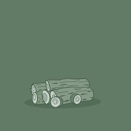 Photo of free Assorted dried timber (SS4 Rochford) #1