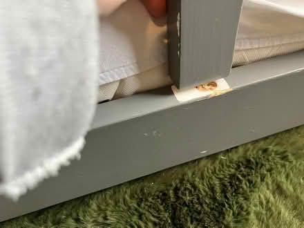Photo of free Toddler kids house bed (East Didsbury M20) #4