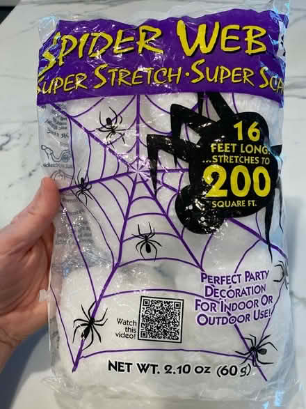 Photo of free Spider web Halloween decoration (Skokie) #1