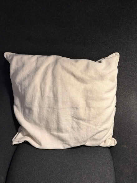 Photo of free Cushion (Emlyn Road W12) #1