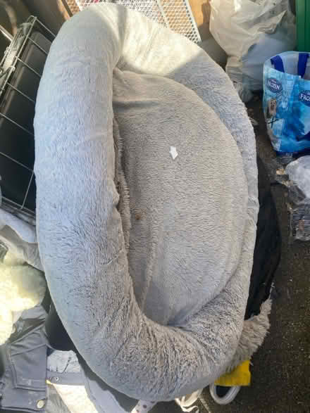 Photo of free Dog bed snd toys (Golborne WA3) #1