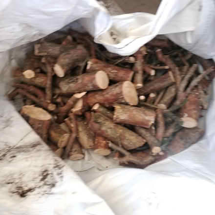 Photo of free Firewood logs, two wheelbarrows full, cut to size (Hesketh Bank PR4) #2