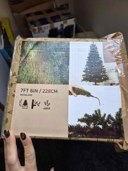 Photo of free Christmas tree (G44 5QA) #2