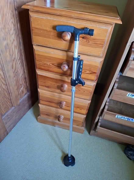 Photo of free Adjustable walking stick (South Normanton near J28 M1) #1