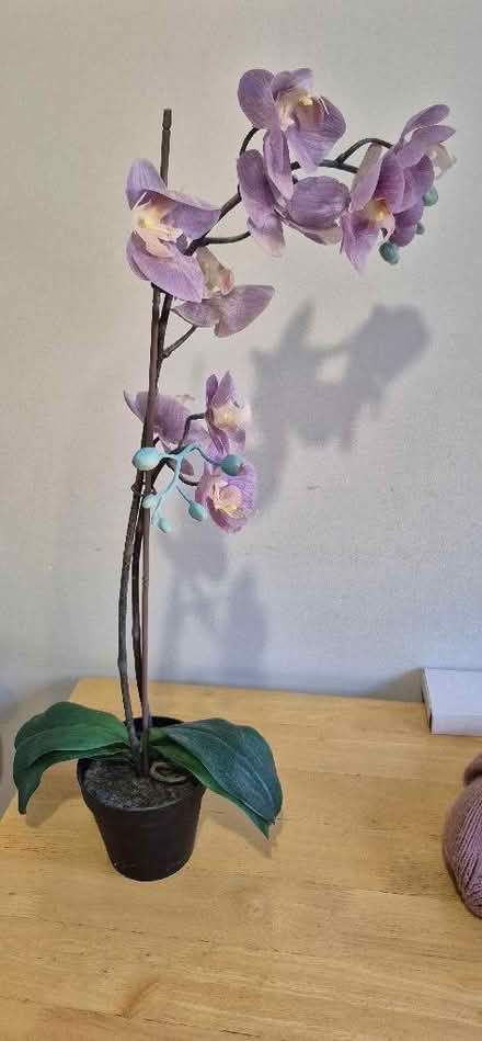 Photo of free Artificial orchid plant (Greaves LA1) #1