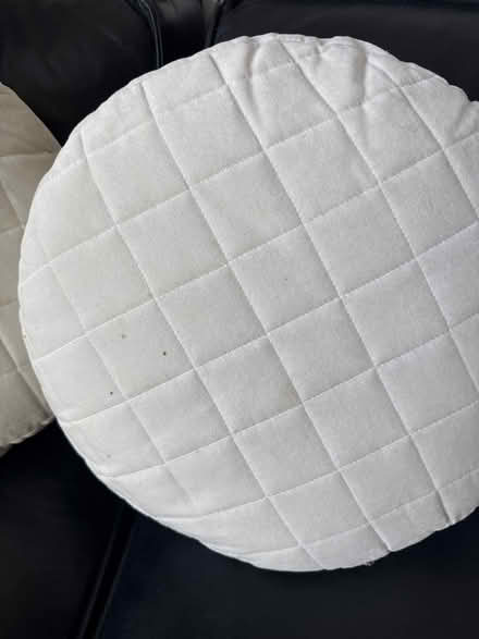 Photo of free Round cushions (Kennedy Sheppard) #3