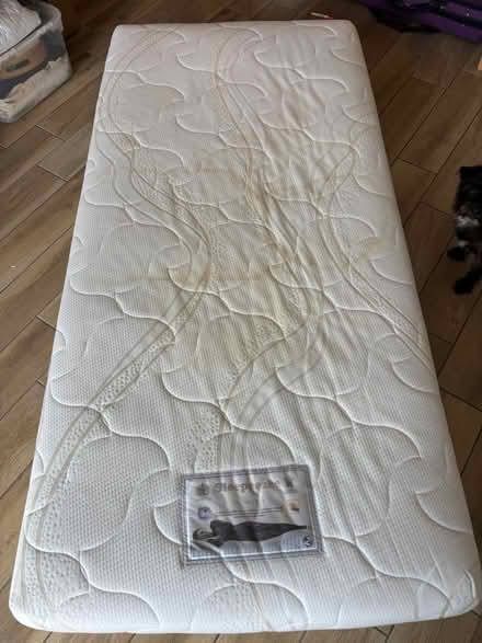 Photo of free Single bed mattress and protector (Fetcham) #2