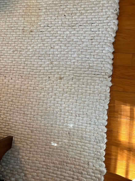 Photo of free Large Area Rug (01810) #1