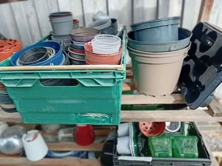 Photo of free Garden plant pots (St. Margarets Farm HP1) #1