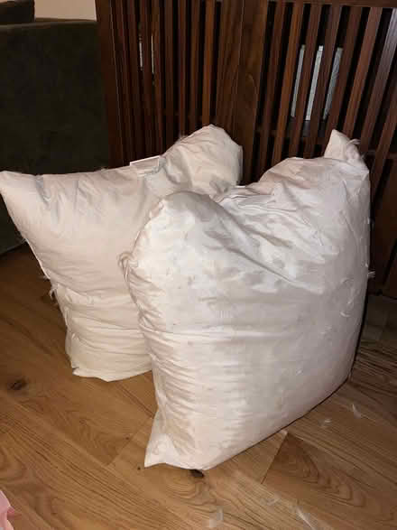 Photo of free Two duck feather pillows (Near Redstone) #1