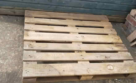 Photo of free Sturdy Pallet (Llanymynech SY22) #1
