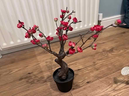 Photo of free Ikea flower blossom decoration artifical potted plant (Hale End IG8) #1