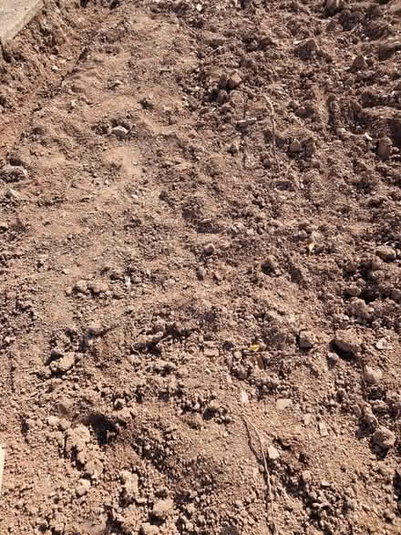 Photo of free Soil (Tq149sg) #2