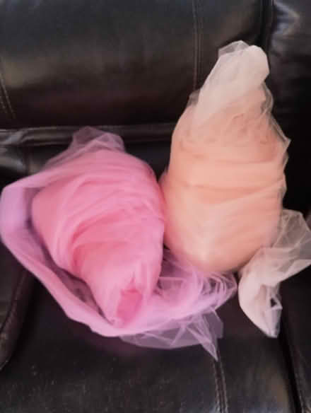 Photo of free Tulle (Greenwood near 83rd) #1