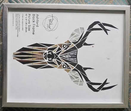 Photo of free Picture Frames (Lower Earley RG6) #2