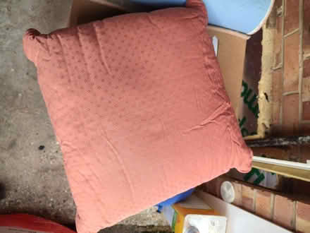 Photo of free 3x large quality sofa cushions (Winchester SO22) #1