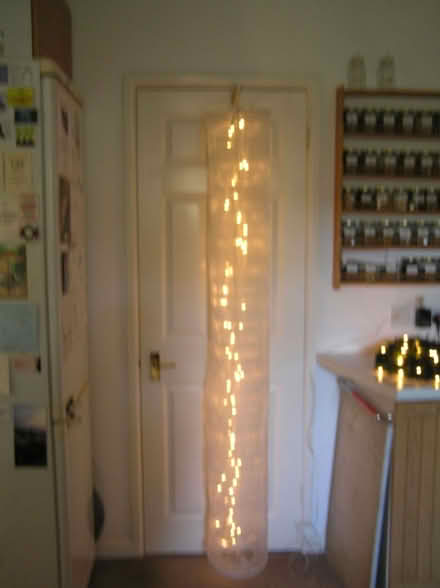 Photo of free Hanging column of fairy lights (West Moors BH22) #1