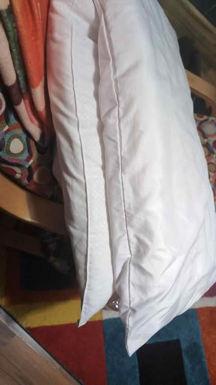 Photo of free Pillows (Combe Down BA2) #1