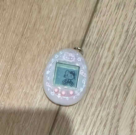 Photo of free Misc - plant pot, tamigotchi (Astoria) #1