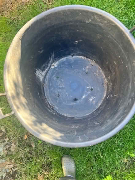 Photo of free Giant plant/ tree pot (Perry Vale SE23) #3
