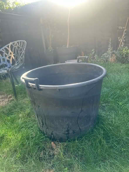 Photo of free Giant plant/ tree pot (Perry Vale SE23) #1