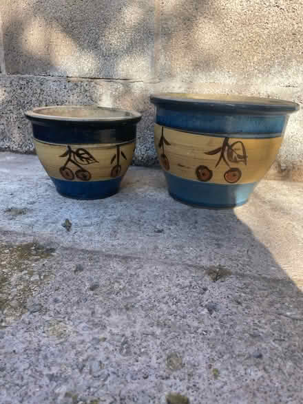 Photo of free 2 plant pots (Penrith CA11) #1